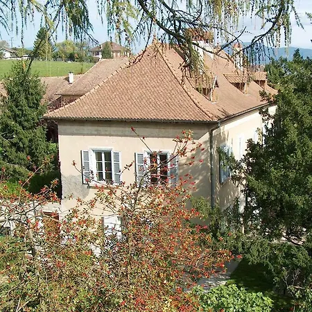 Chateau-gaillard Corbelin