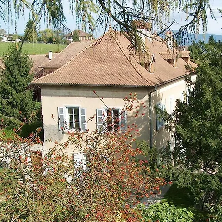 Chateau-gaillard Corbelin